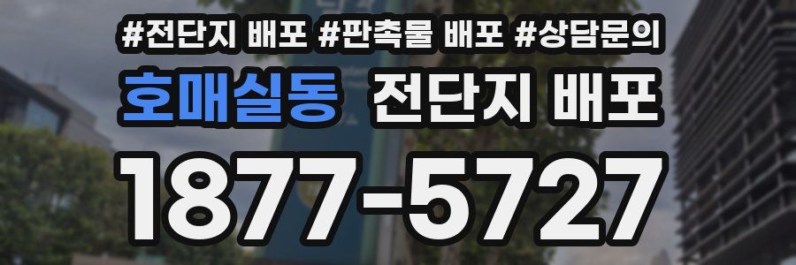 호매실동 전단지 배포