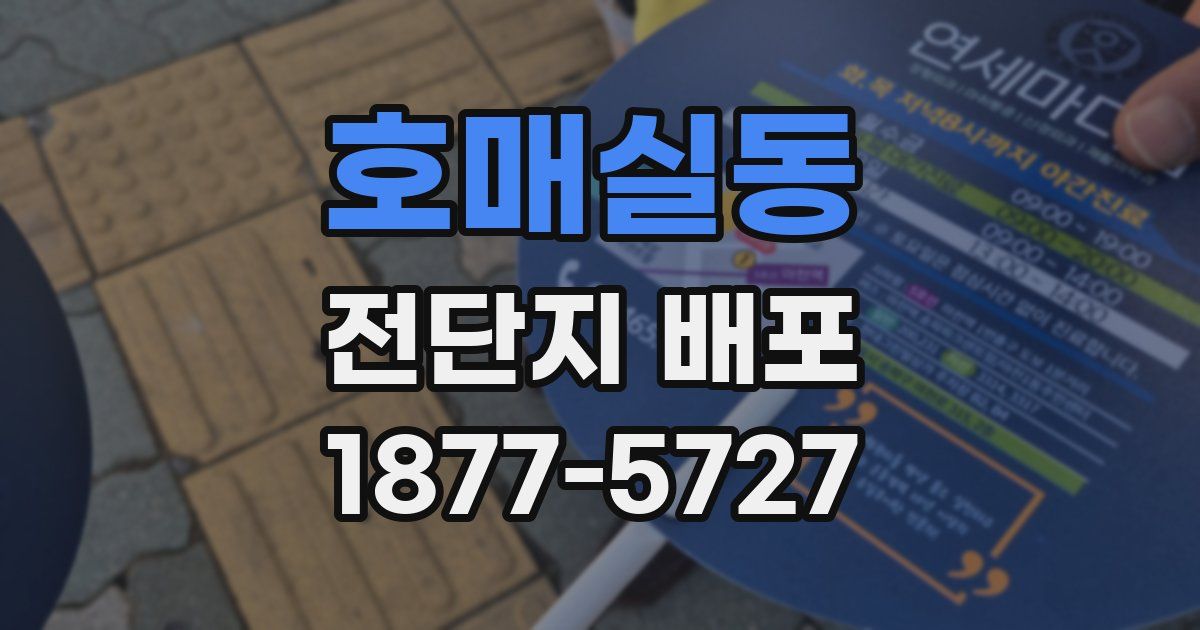 호매실동 전단지 배포