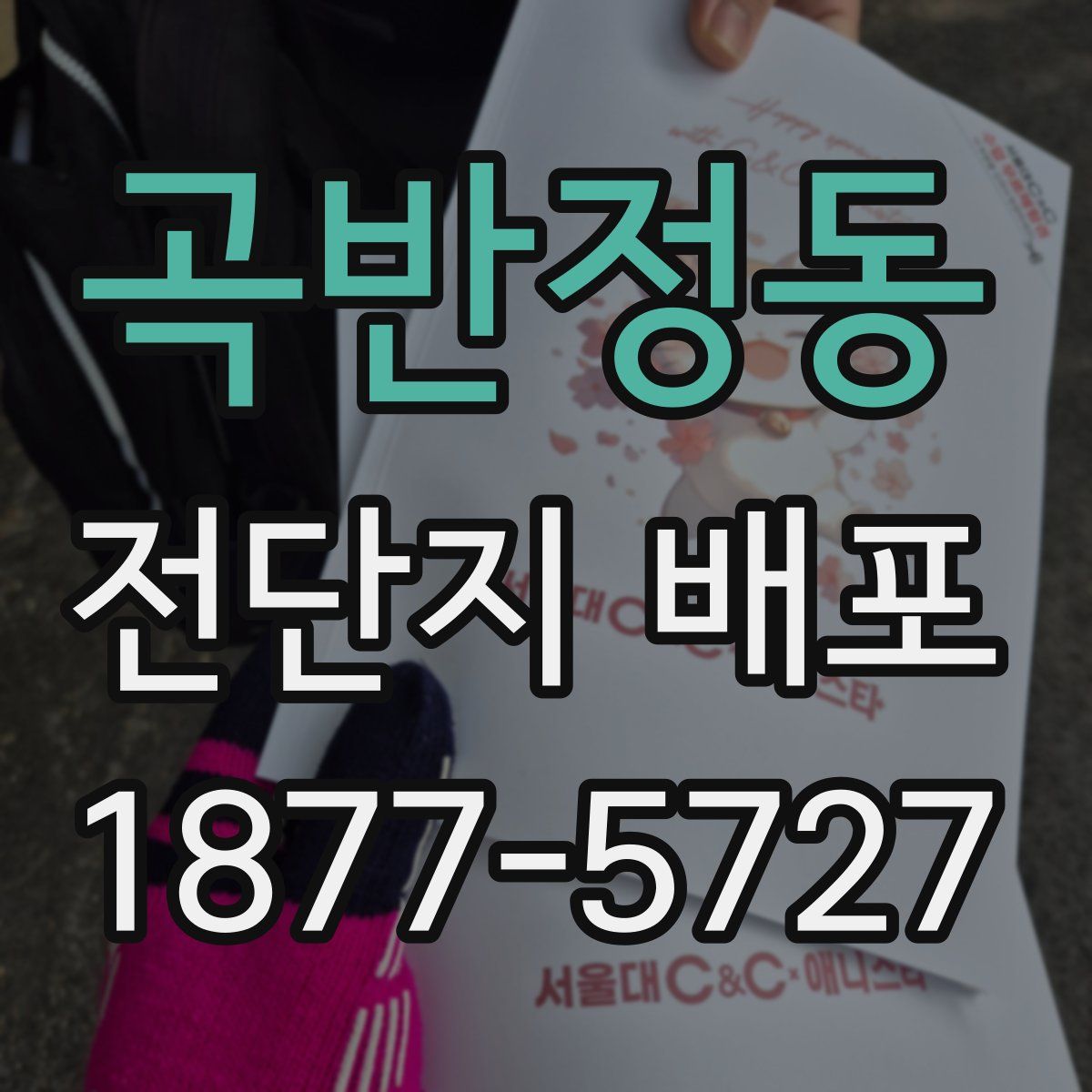 곡반정동 전단지 배포