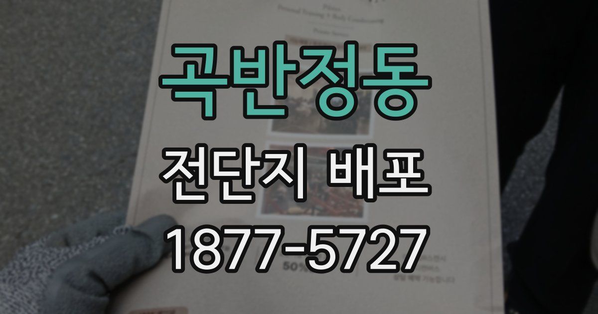 곡반정동 전단지 배포