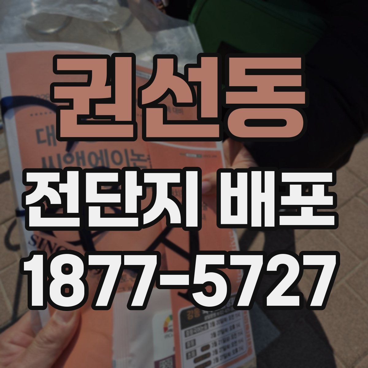 권선동 전단지 배포