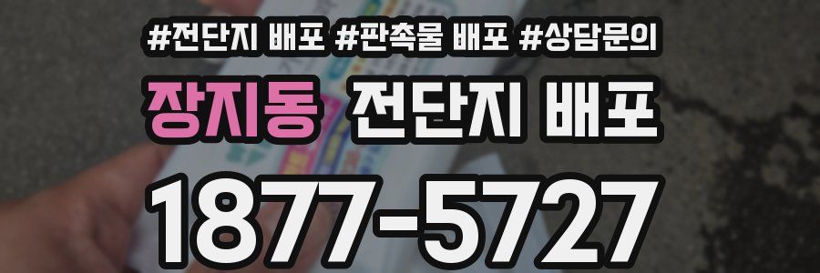 장지동 전단지 배포