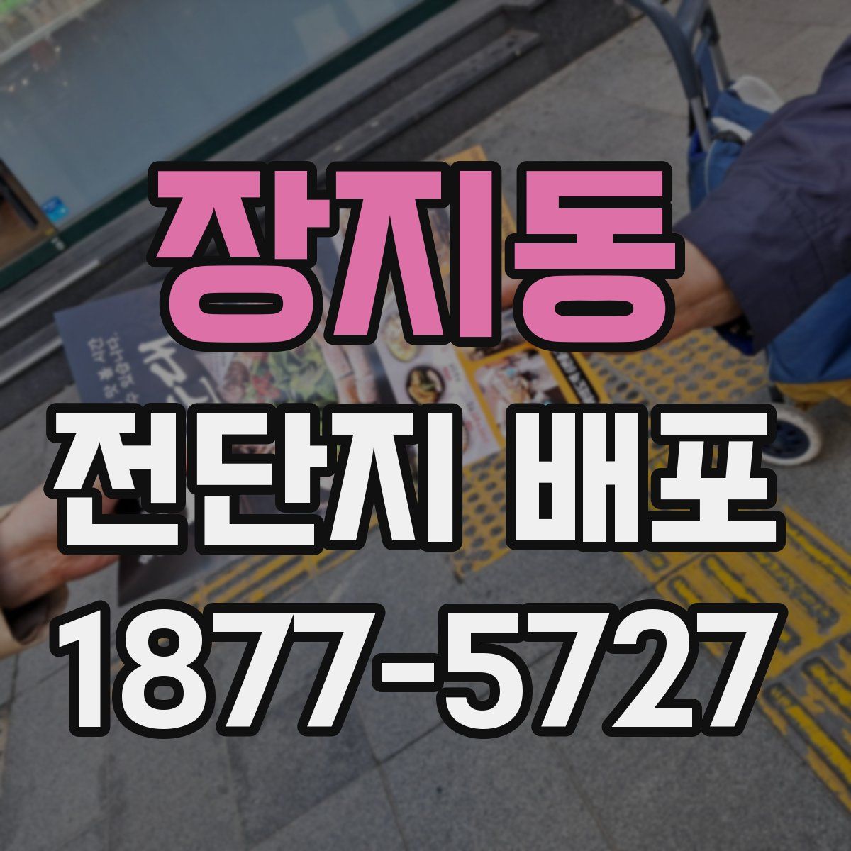 장지동 전단지 배포
