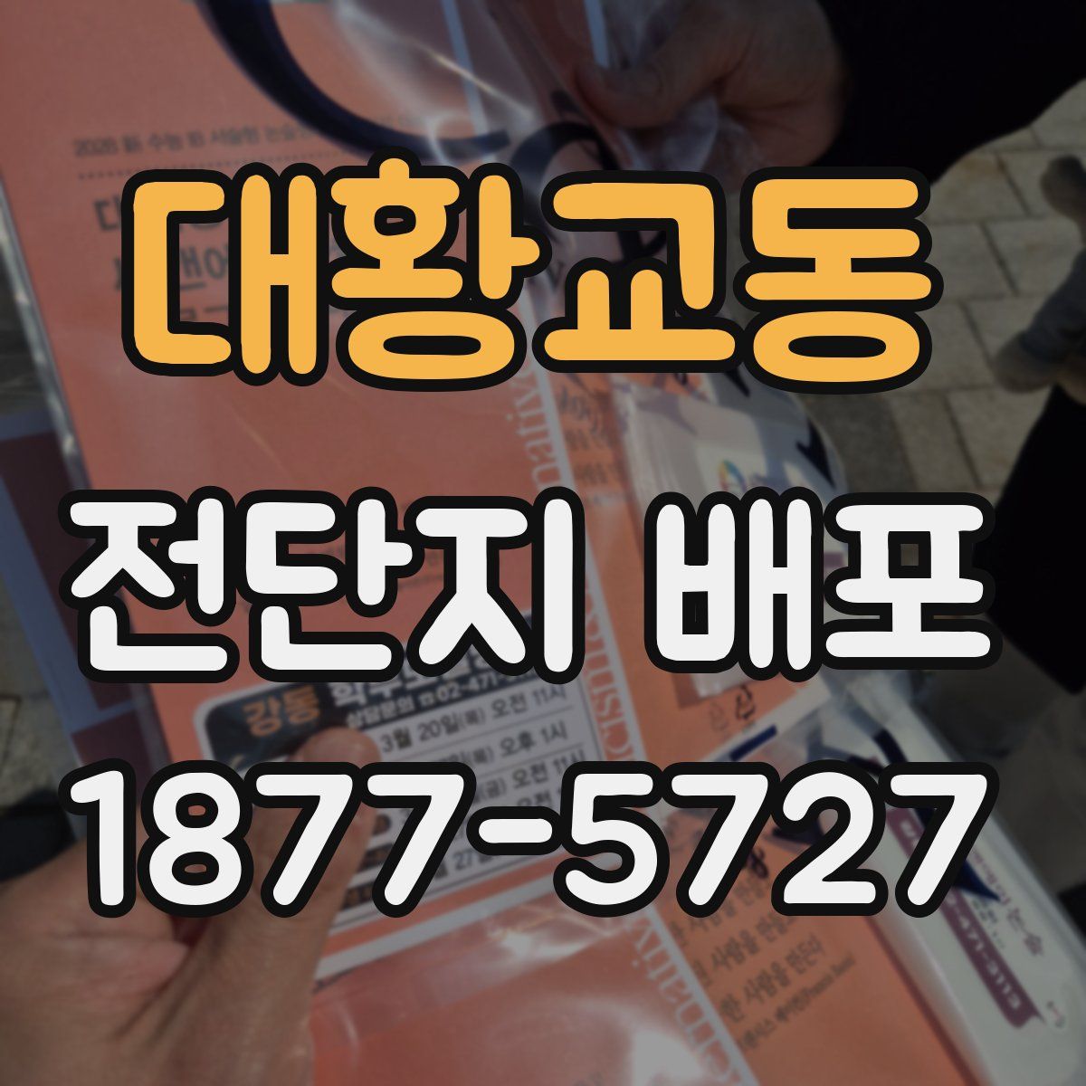 대황교동 전단지 배포