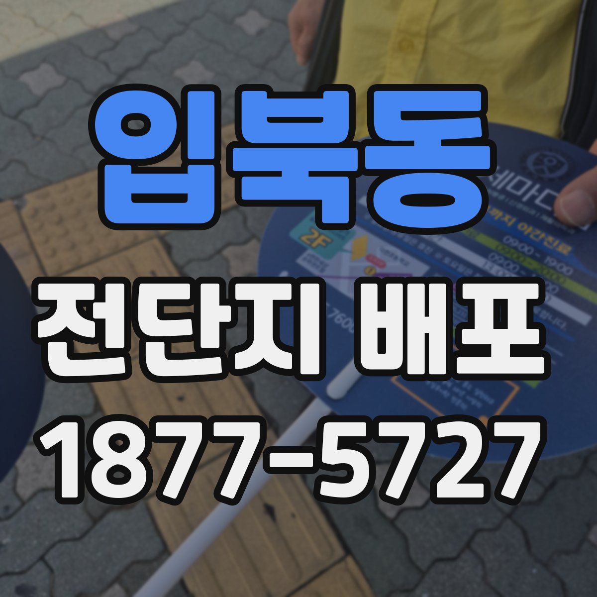 입북동 전단지 배포