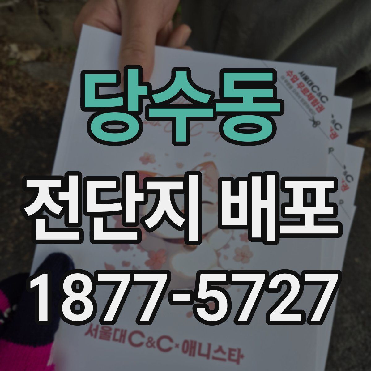 당수동 전단지 배포
