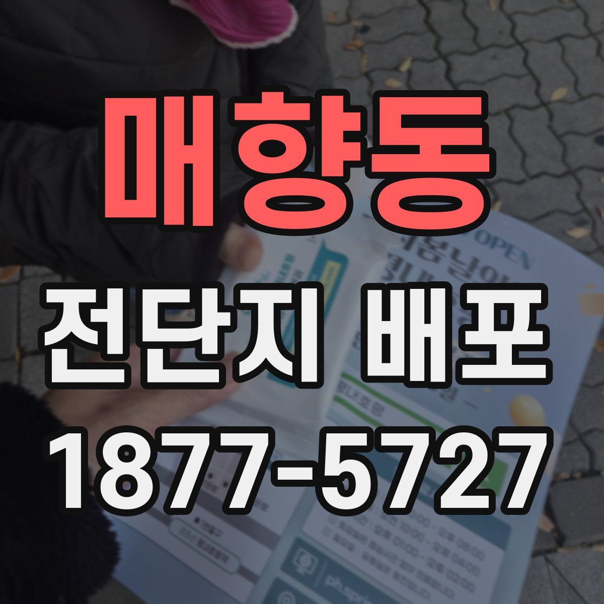 매향동 전단지 배포