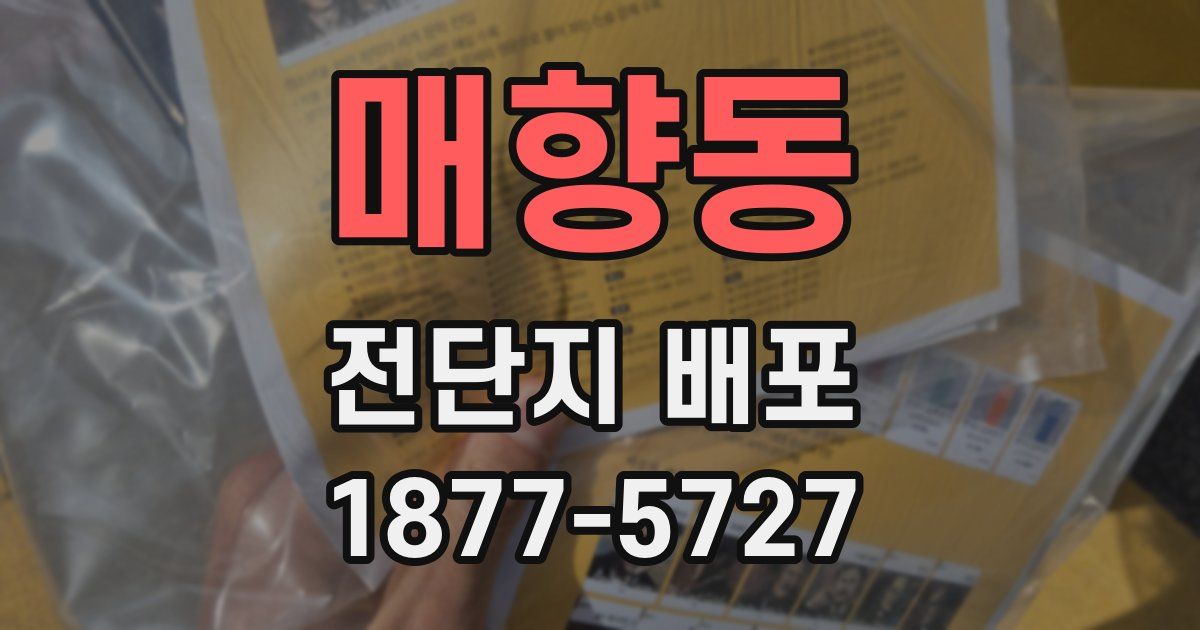 매향동 전단지 배포