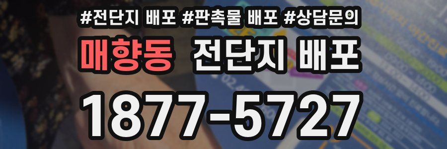 매향동 전단지 배포