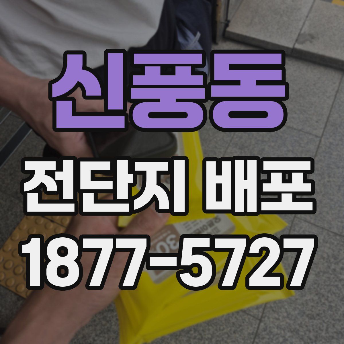 신풍동 전단지 배포