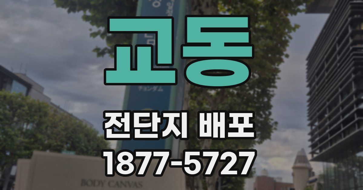 교동 전단지 배포