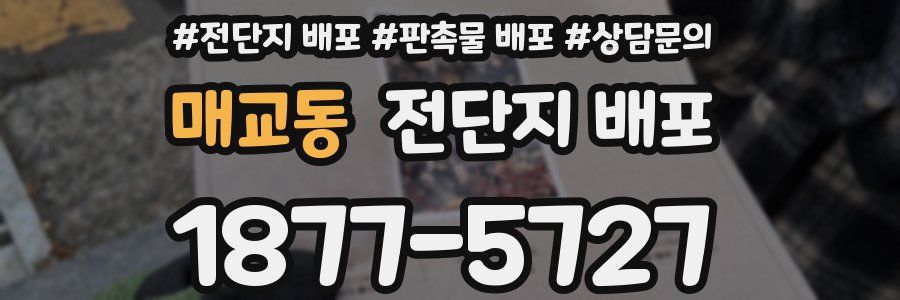 매교동 전단지 배포