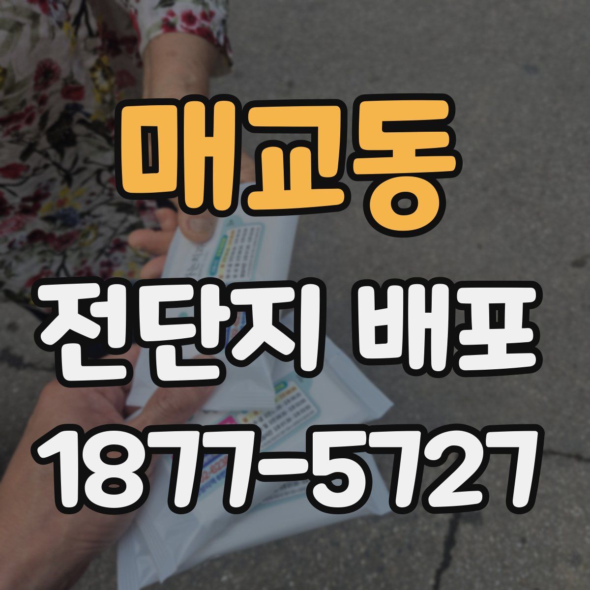 매교동 전단지 배포