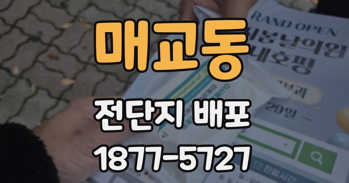 매교동 전단지 배포