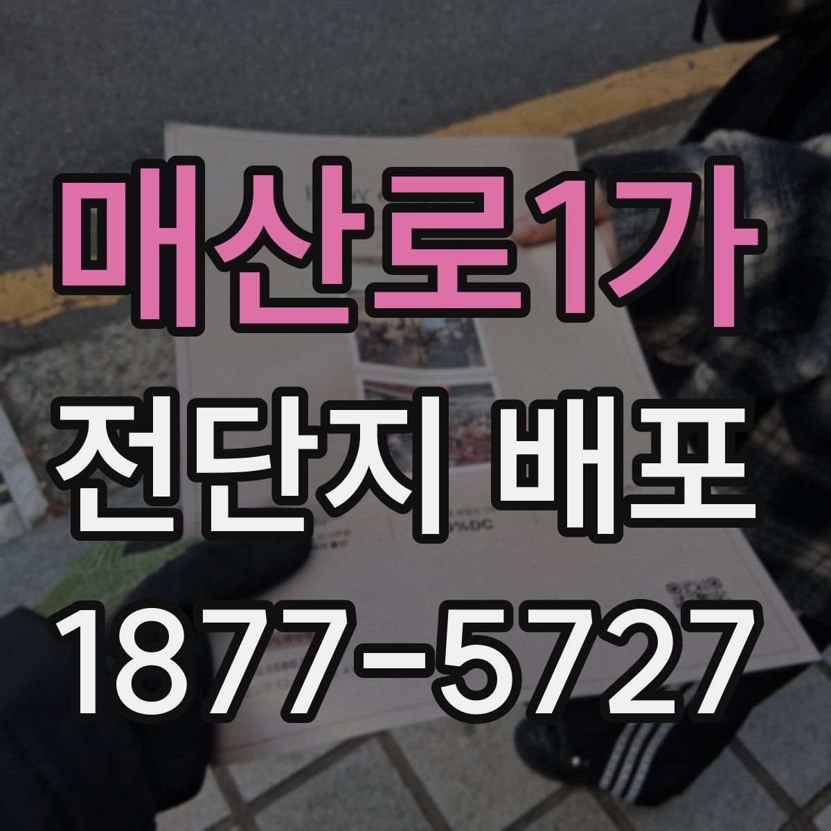 매산로1가 전단지 배포