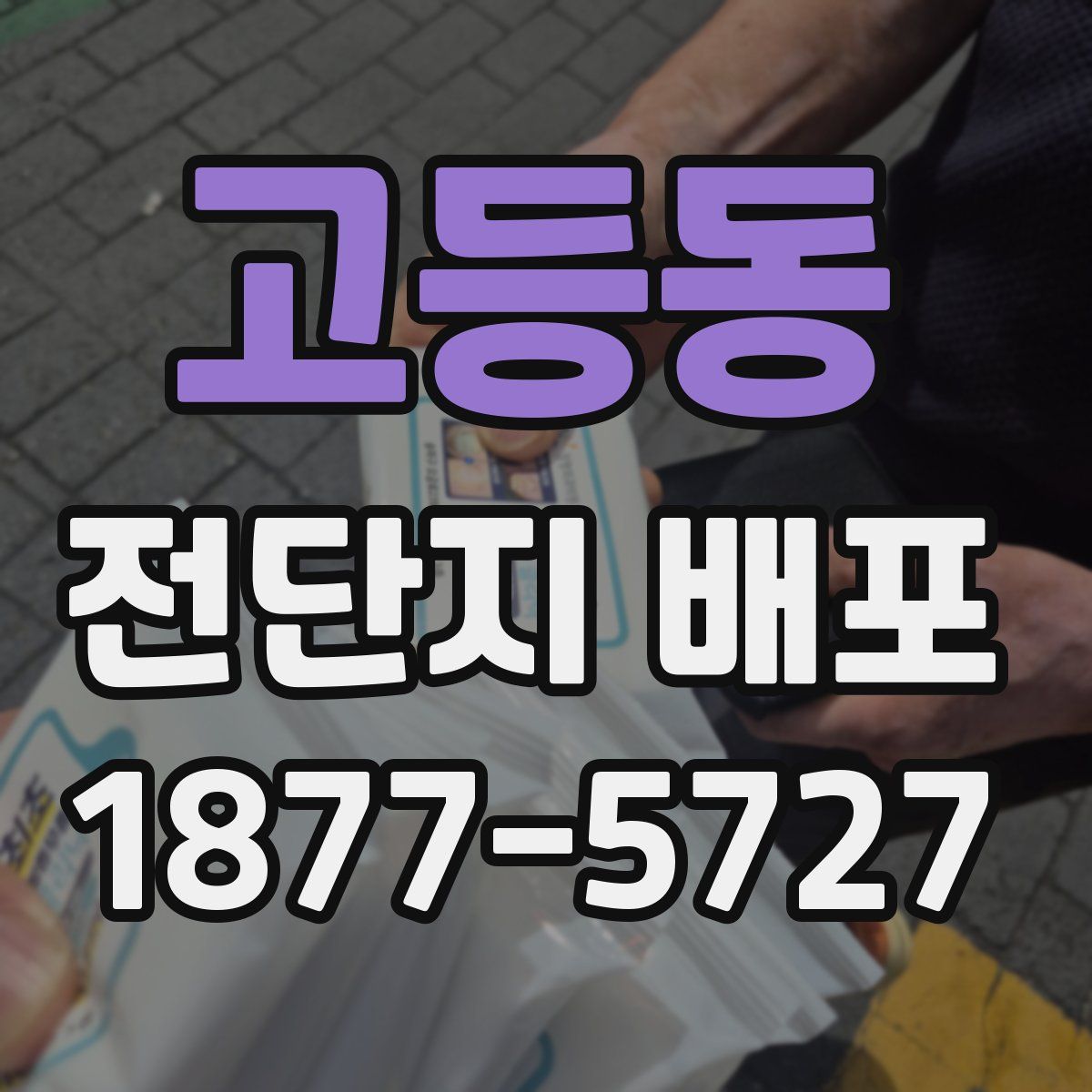 고등동 전단지 배포