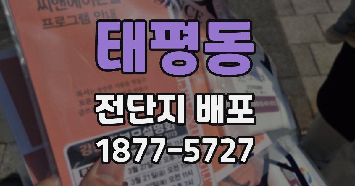 태평동 전단지 배포
