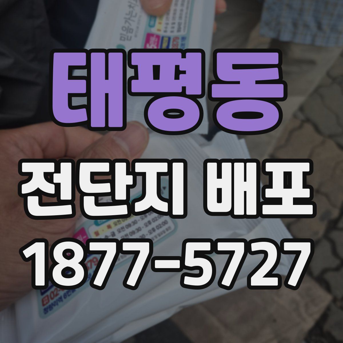태평동 전단지 배포