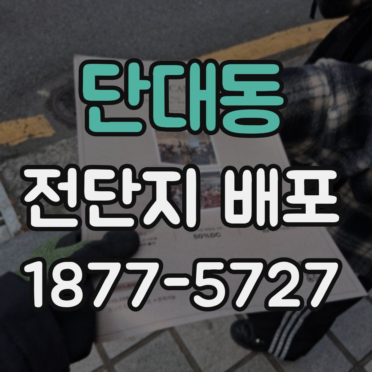 단대동 전단지 배포