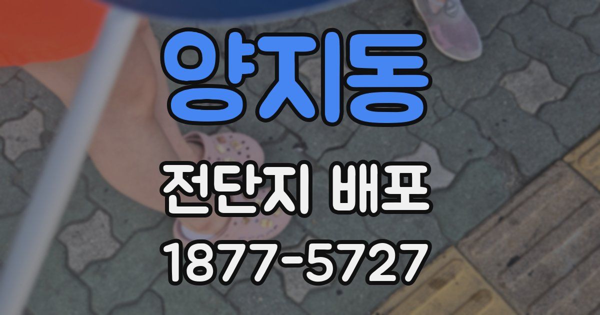 양지동 전단지 배포