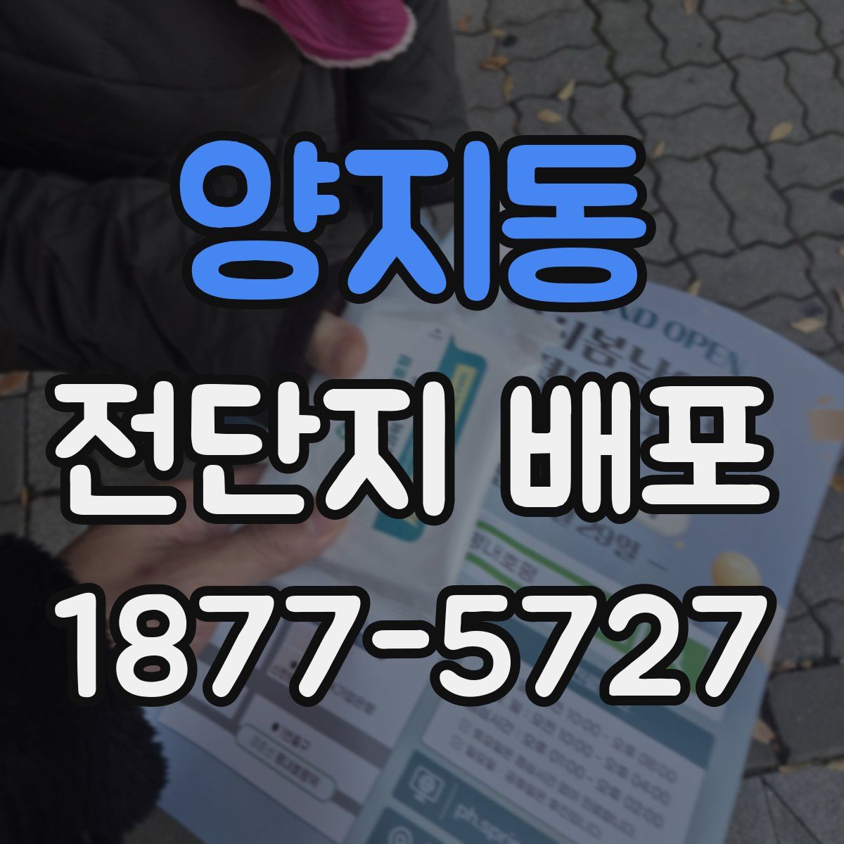양지동 전단지 배포