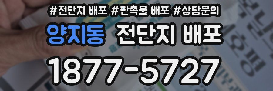 양지동 전단지 배포