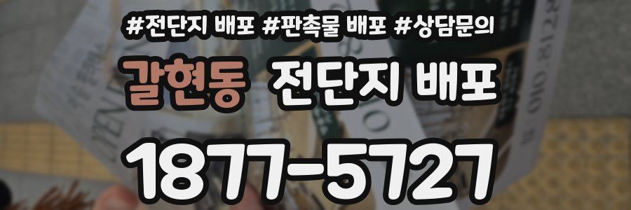 갈현동 전단지 배포