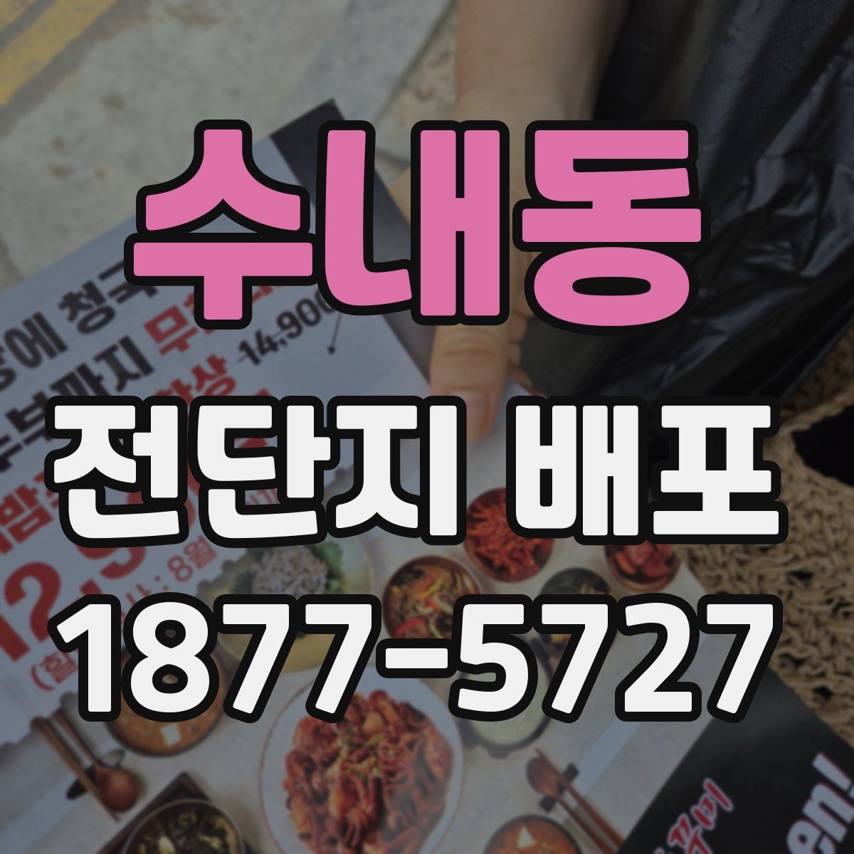 수내동 전단지 배포