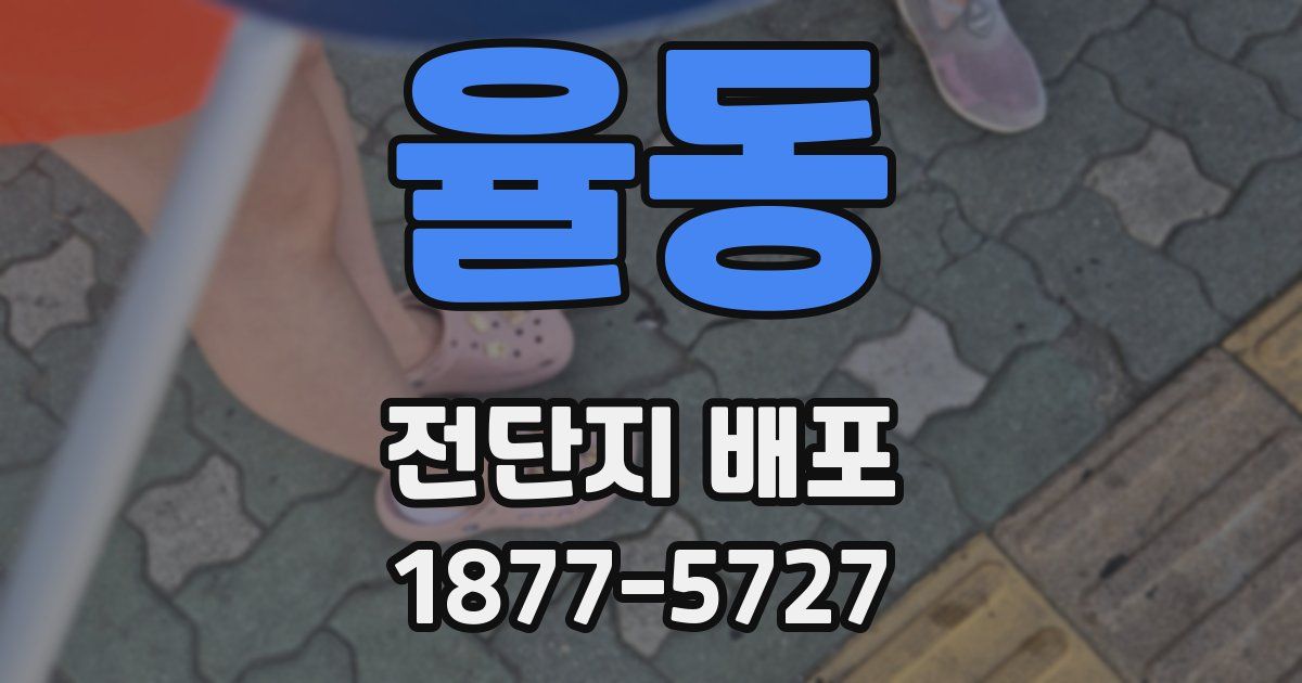 율동 전단지 배포