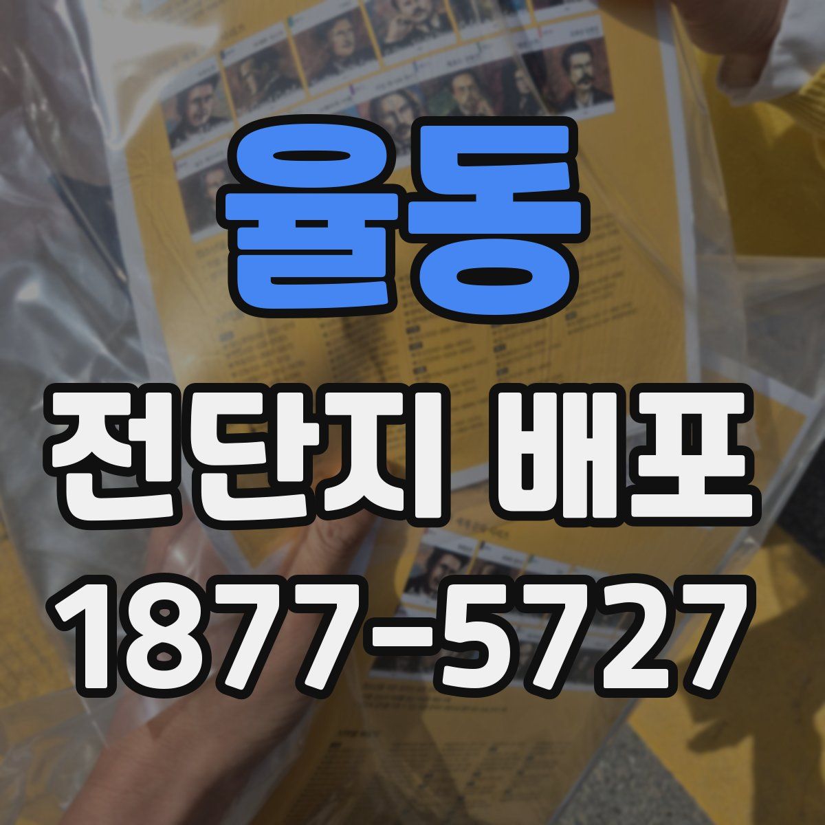 율동 전단지 배포