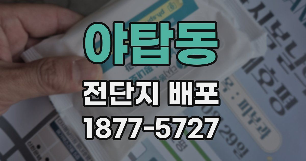 야탑동 전단지 배포