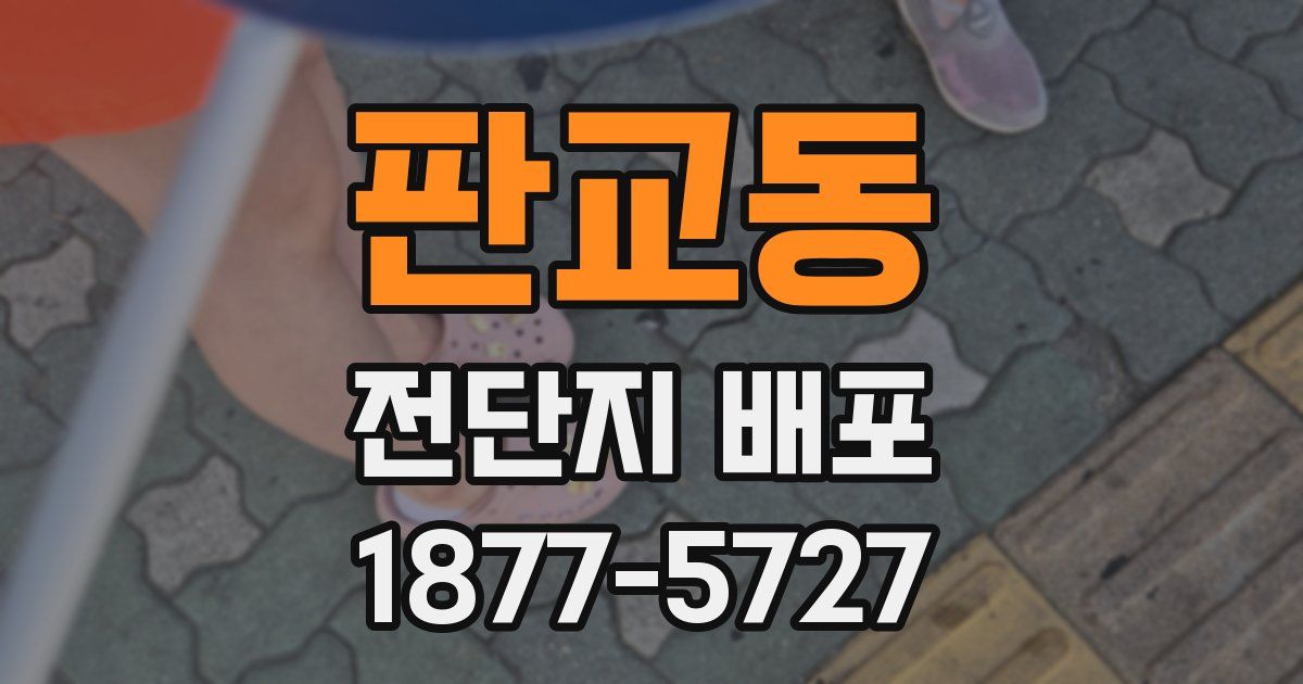 판교동 전단지 배포