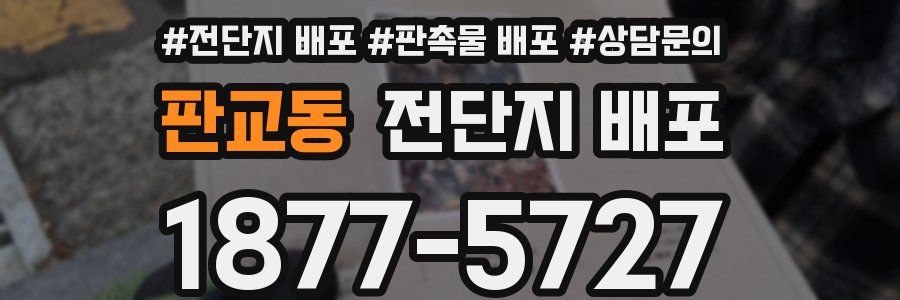 판교동 전단지 배포