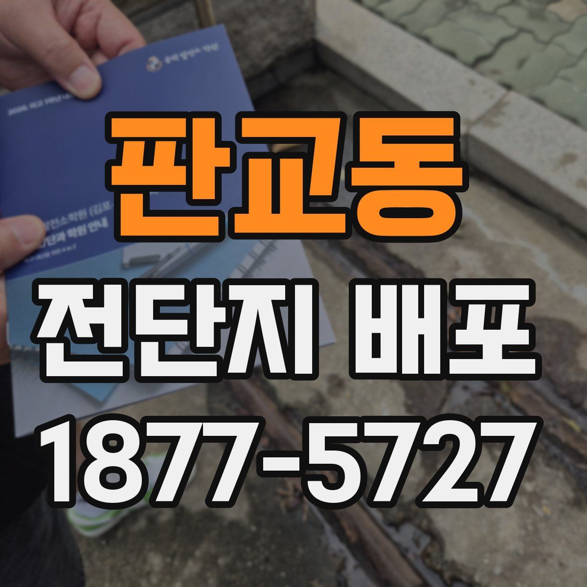 판교동 전단지 배포