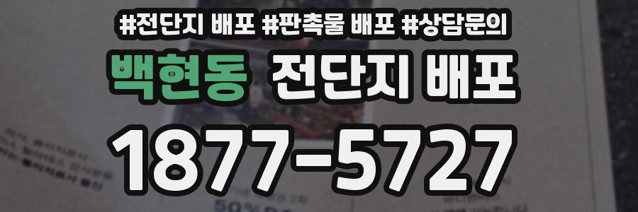 백현동 전단지 배포