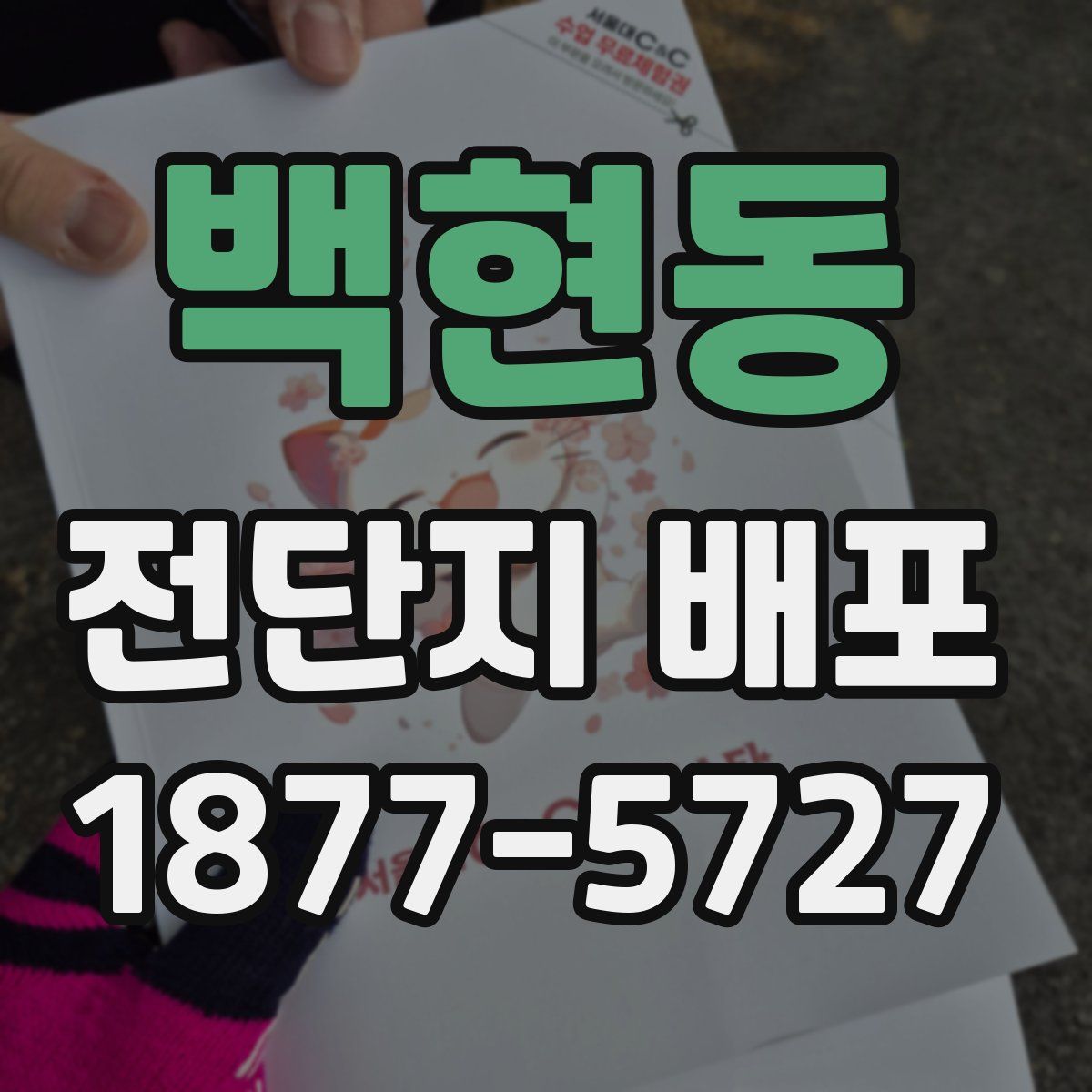 백현동 전단지 배포
