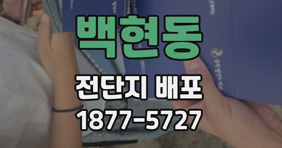 백현동 전단지 배포