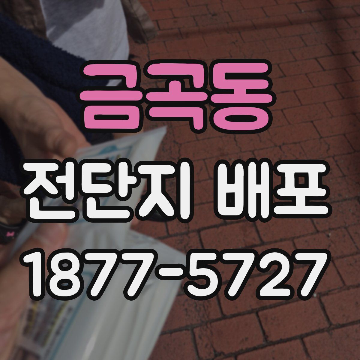 금곡동 전단지 배포