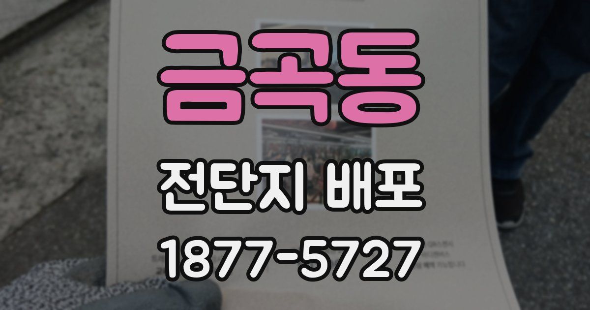 금곡동 전단지 배포