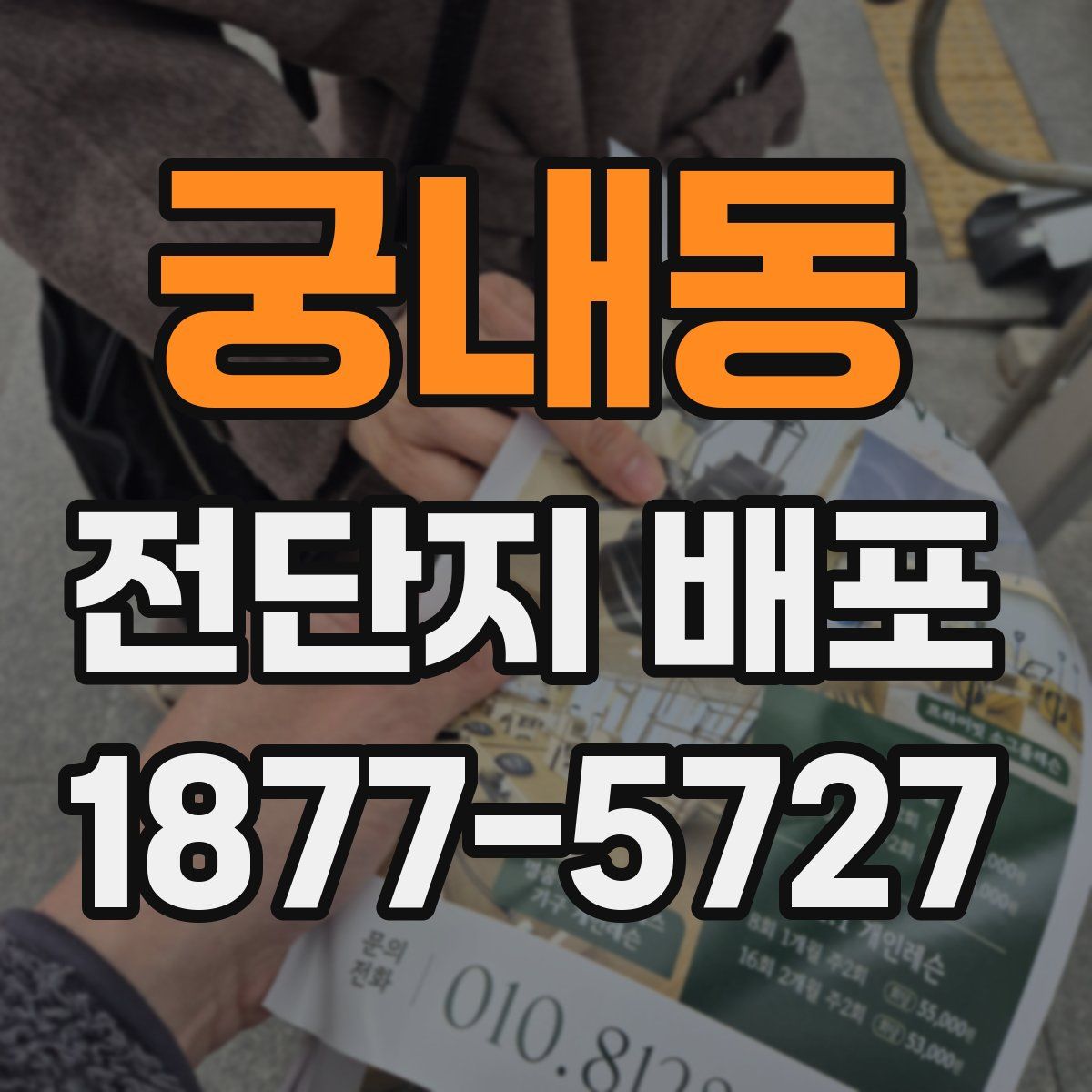 궁내동 전단지 배포