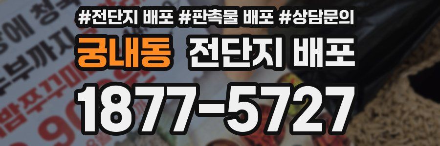 궁내동 전단지 배포