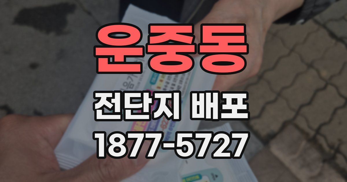 운중동 전단지 배포