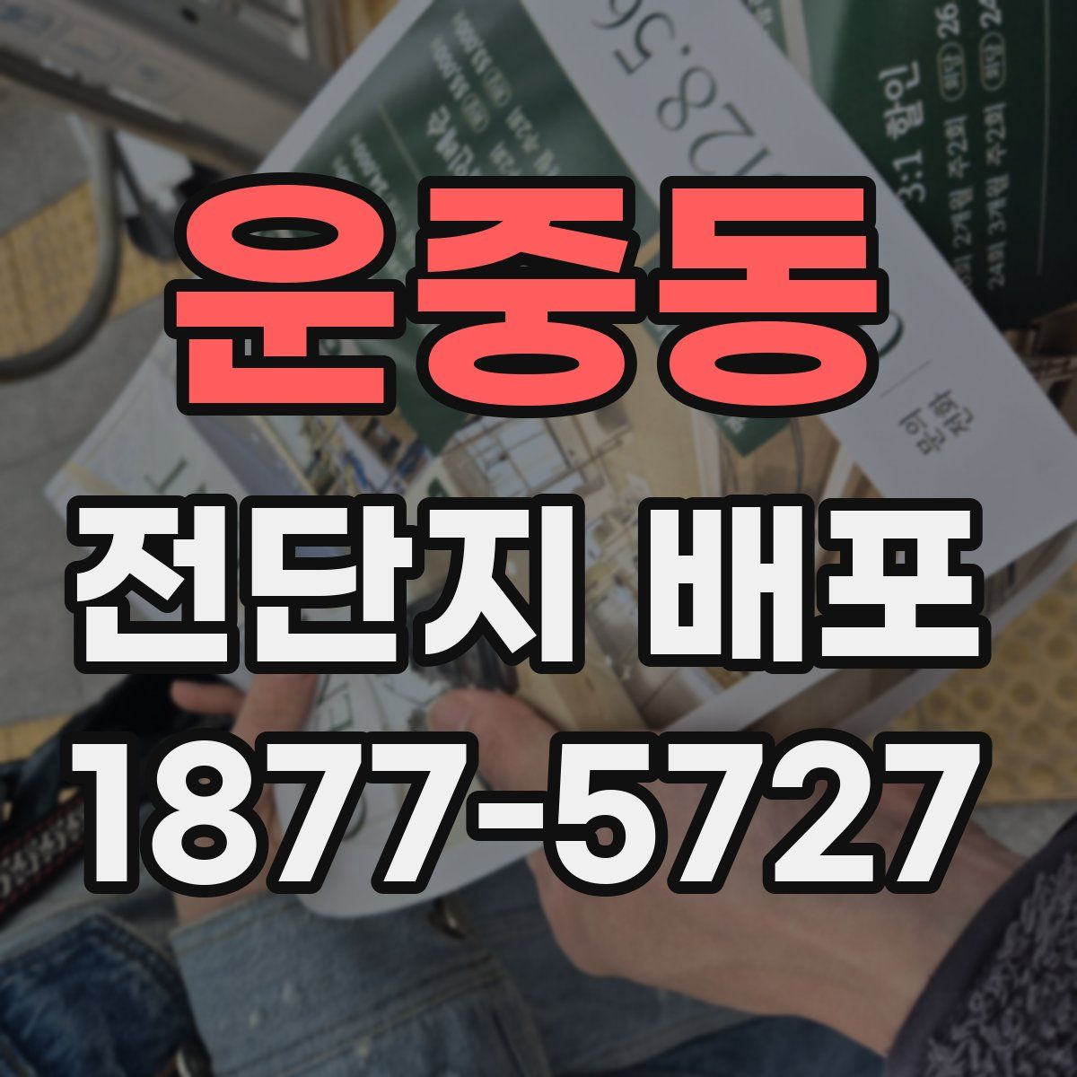 운중동 전단지 배포
