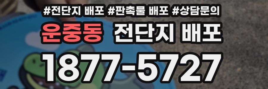 운중동 전단지 배포