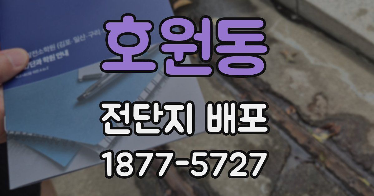 호원동 전단지 배포