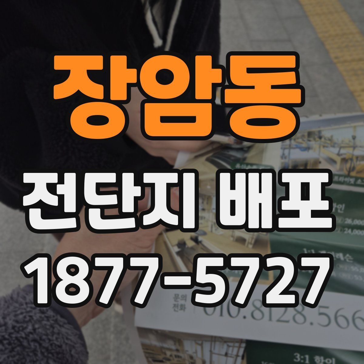 장암동 전단지 배포