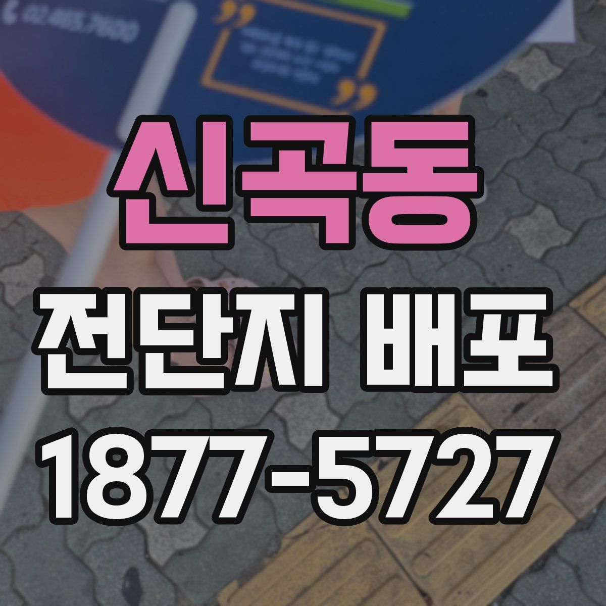 신곡동 전단지 배포