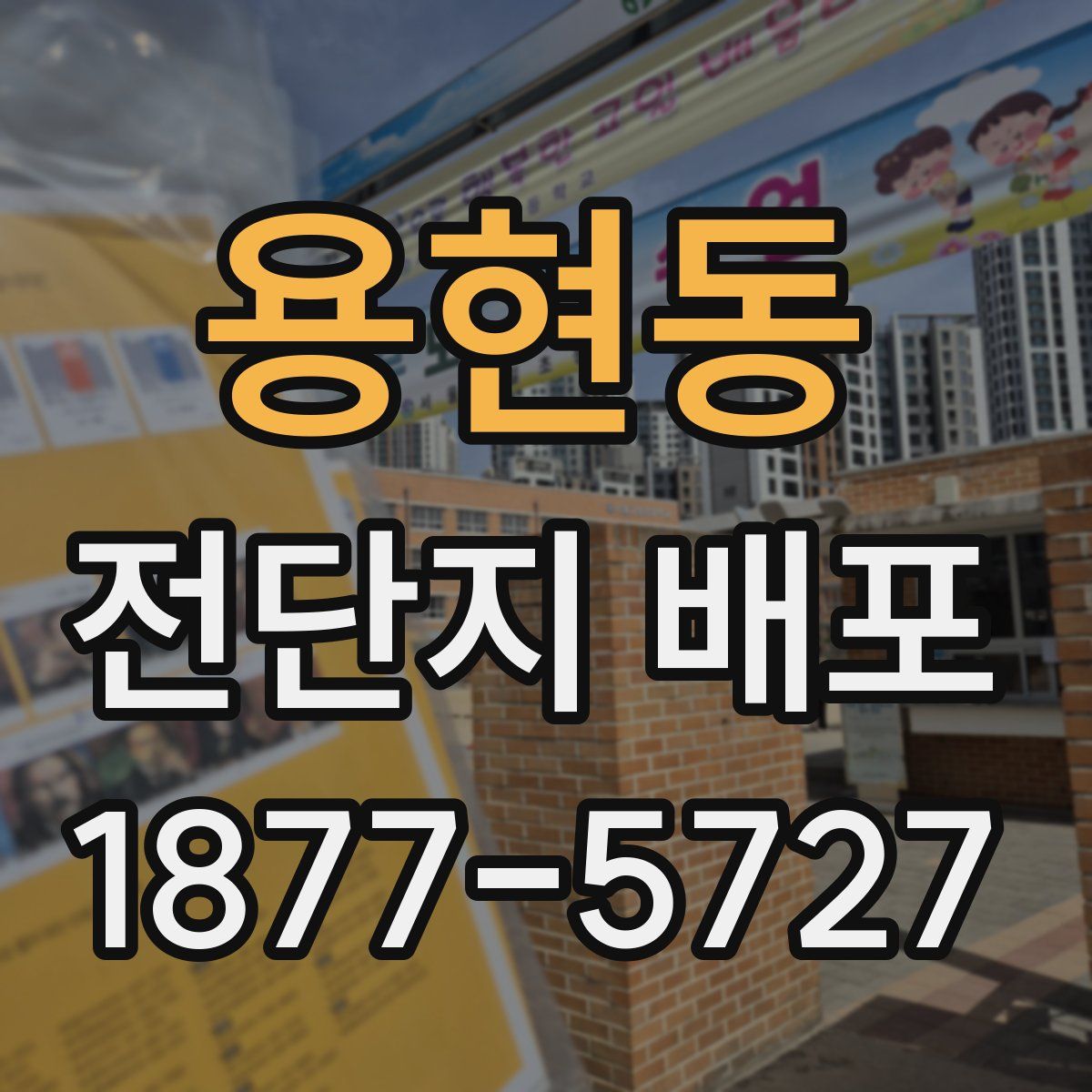 용현동 전단지 배포