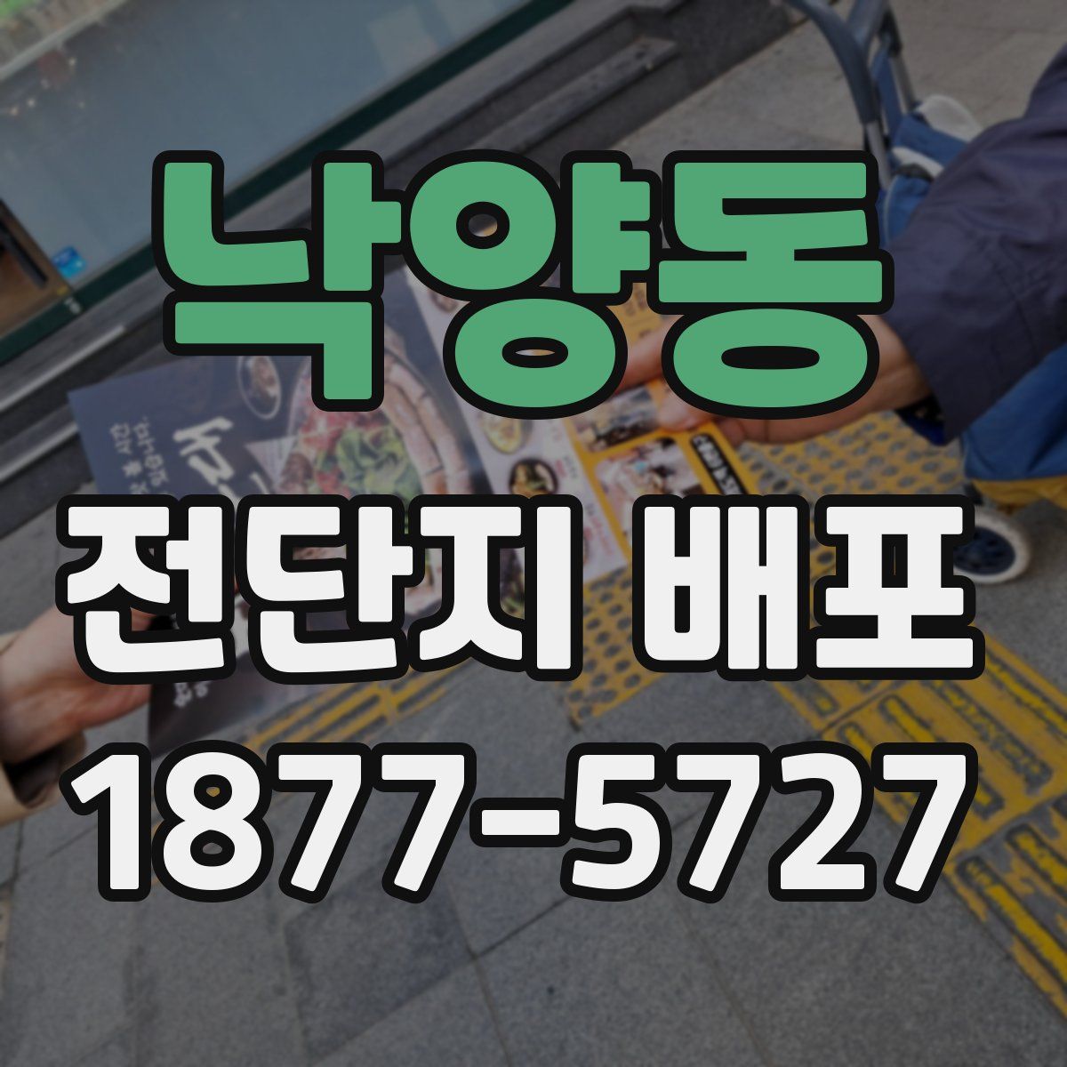 낙양동 전단지 배포