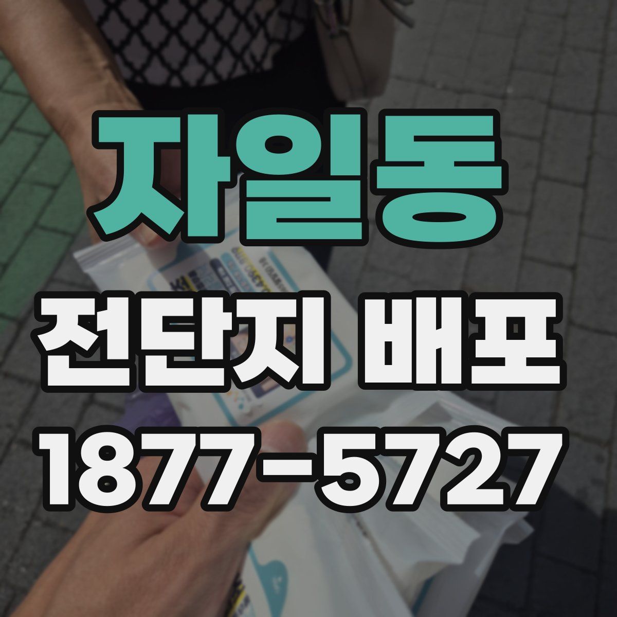 자일동 전단지 배포
